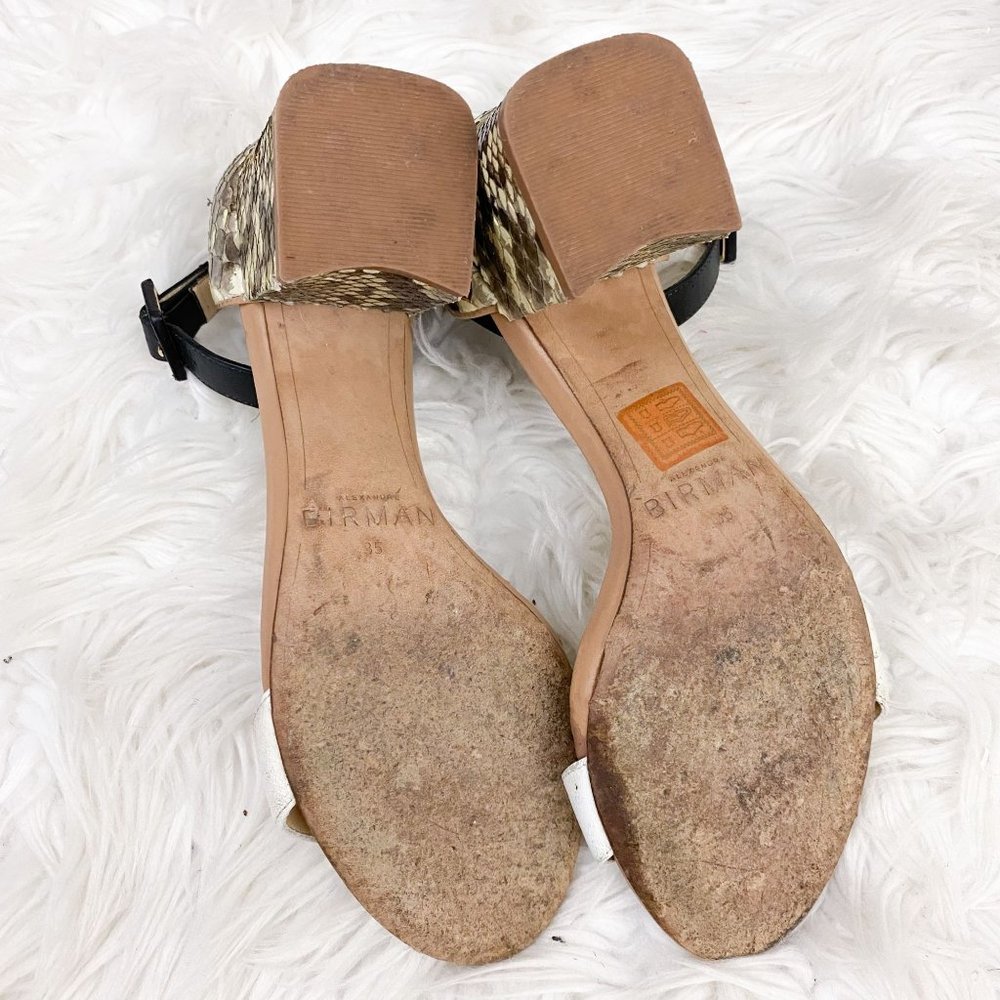 Alexandre Birman Judy Python Block Heel Sandal 5 - image 7